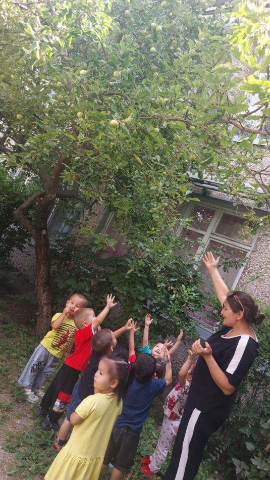 #2022-Балалар жылы#  "Ойланайық, балақай!"