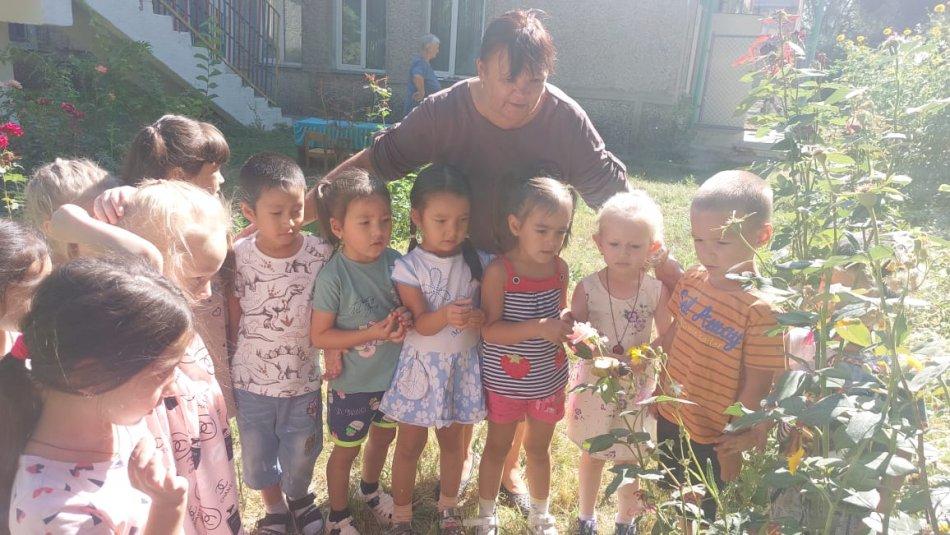 #2022-год детей#  Мир насекомых