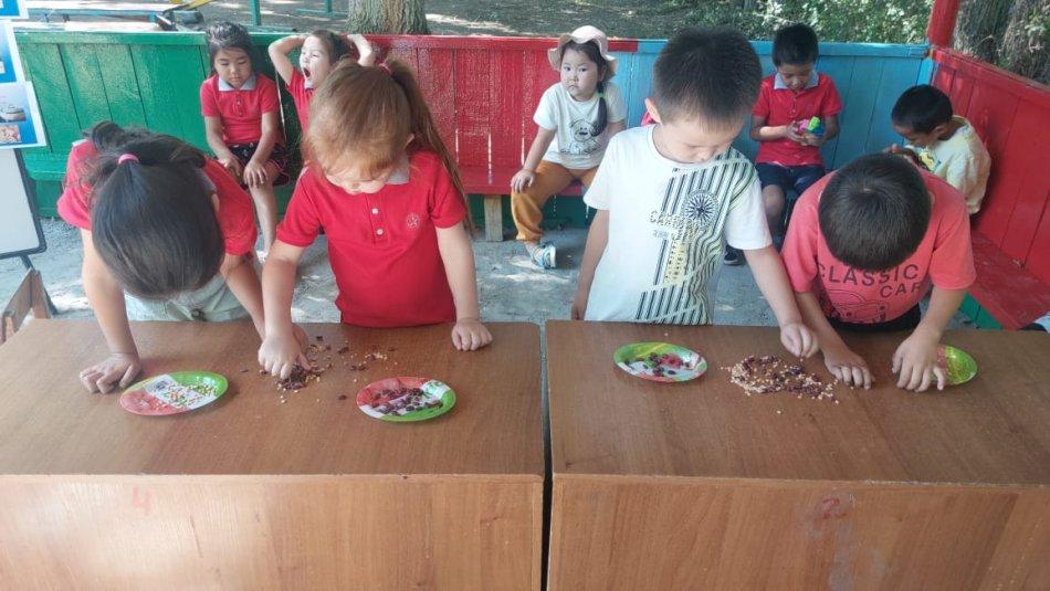 #2022-Балалар жылы#  Алтын дән