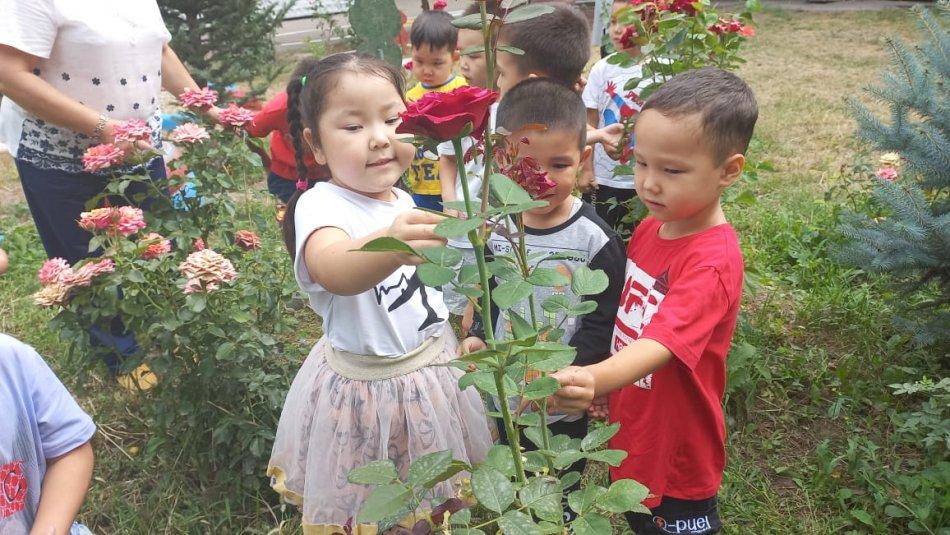 #2022-год детей#  Окружающий мир