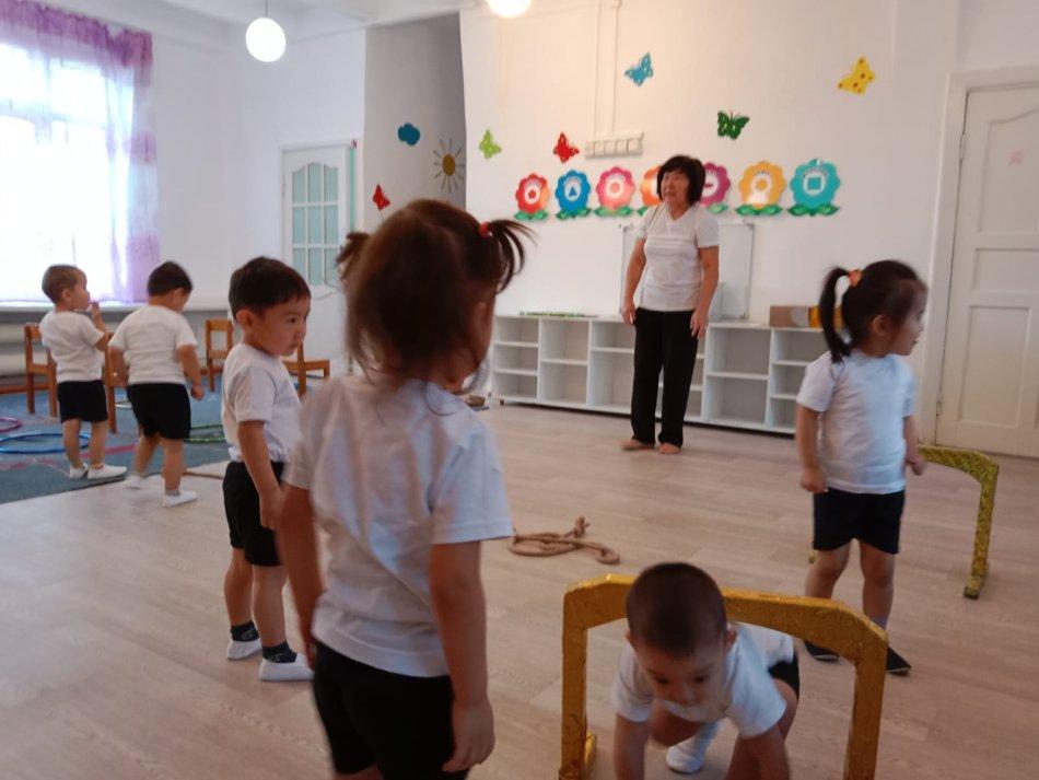 Ұйымдастырылған іс-әрекет: Дене шынықтыру